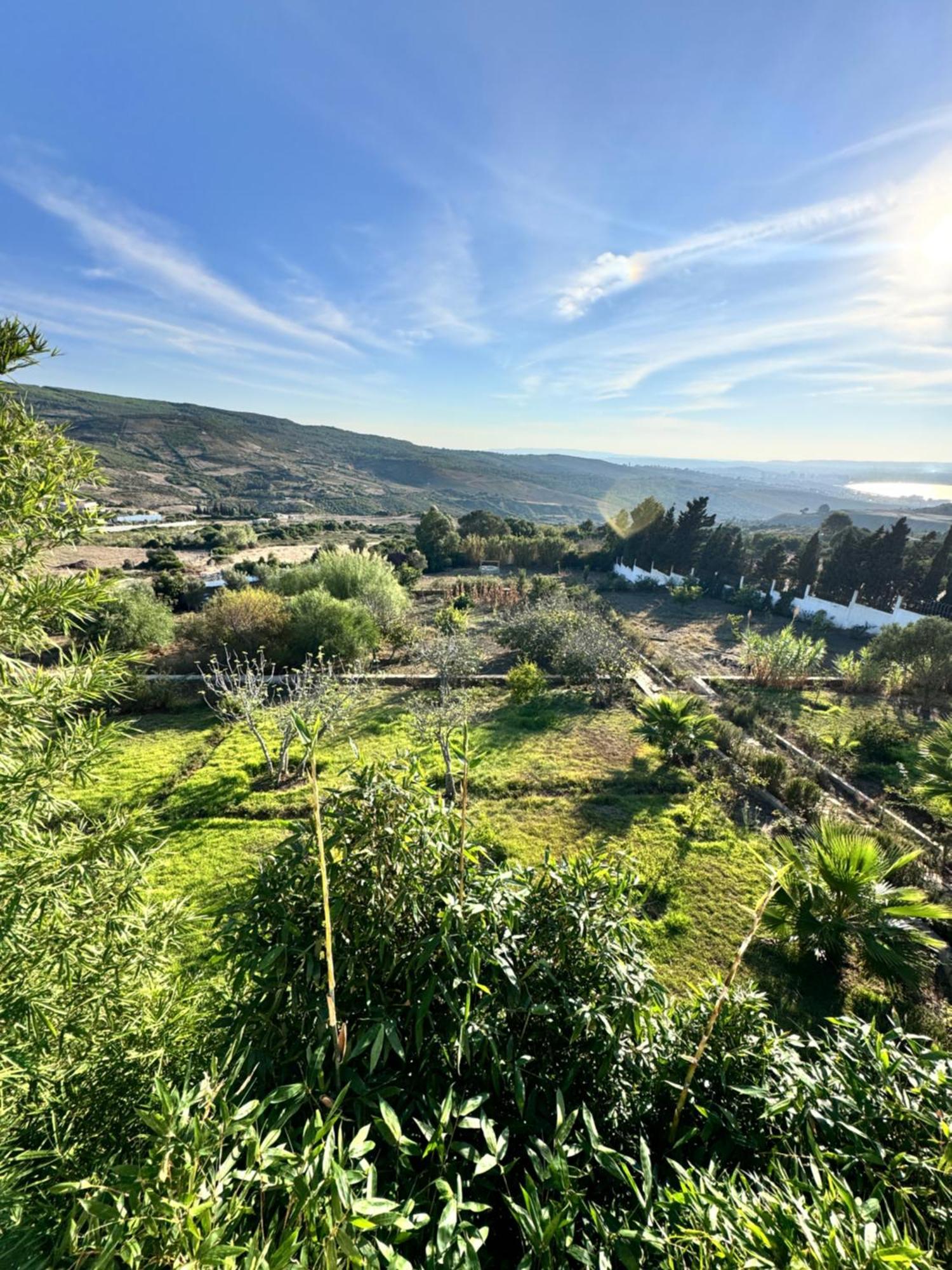 Nouinouich * Tanger